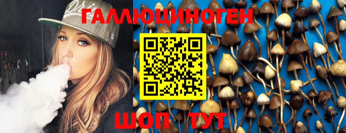 Меф кристаллы  МДМА  Донской  Cocaine  Гашиш  МЕТАДОН  МАРИХУАНА  Вход с VPN 