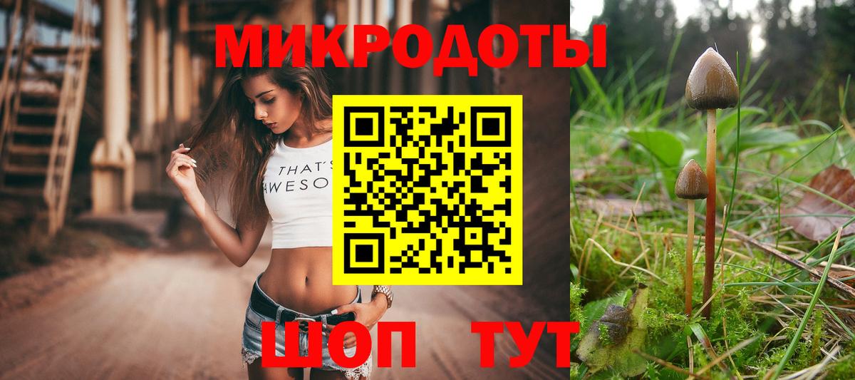 Донской  Галлюциногенные грибы GOLDEN TEACHER  Вход с VPN 