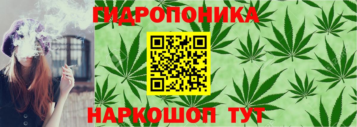 Бошки Шишки SATIVA & INDICA Донской